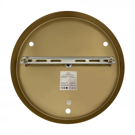 Потолочная люстра на штанге Freya Polli FR5449CL-03G