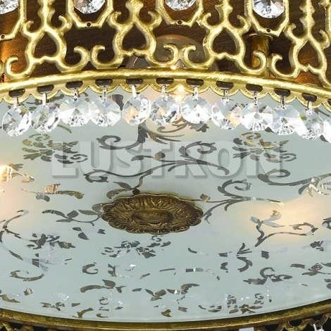 Потолочный светильник Odeon Light Salona 2641/3C