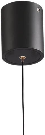 Подвесной светильник Lumien Hall Livin LH8028/1P-BK-PBK-SGD