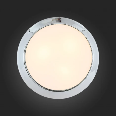 Настенно-потолочный светильник ST Luce Bagno SL469.502.03