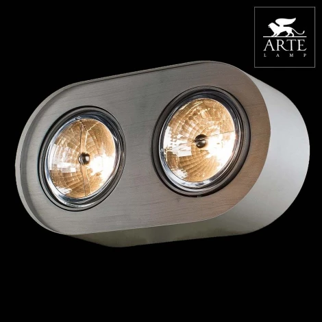 Потолочный светильник Arte Lamp Cliff A5643PL-2WH