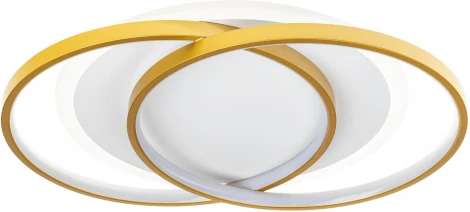 Потолочная люстра светодиодная с ДУ Ritter Snello 51624 2