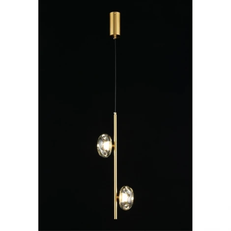 Подвесной светильник Aployt Tereze APL.074.06.02