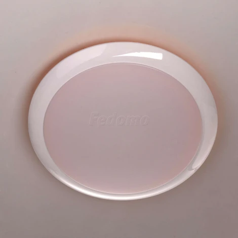 Потолочный светильник MW-Light Ривз 674014101