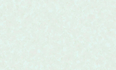 Обои виниловые Erismann Olivia 4509-7 10,05 x 1,06 м