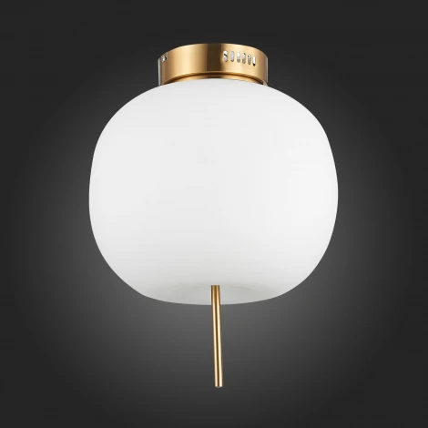 Потолочная люстра ST Luce Lacus SL1621.202.01