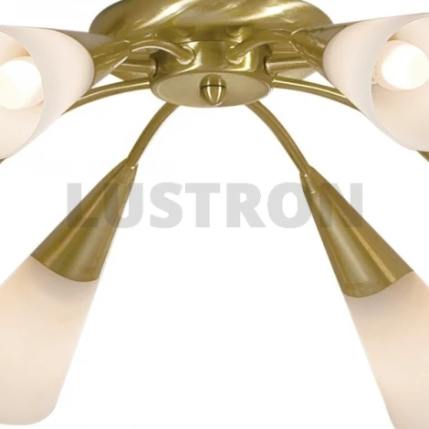 Потолочная люстра Citilux Fokus CL103182