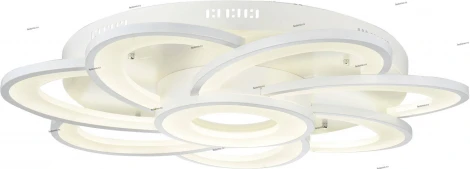 Потолочный светильник уличный ST Luce Petalo SL909.102.08