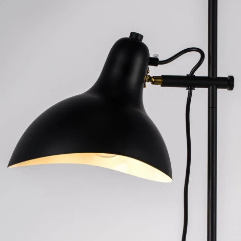 Торшер с выключателем Lightstar Loft 765747 (220V)