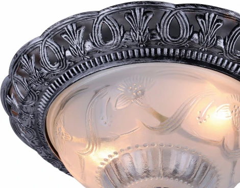 Потолочный светильник Arte Lamp Piatti A8001PL-2SB