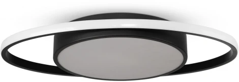 Потолочная люстра Freya Cosmic FR10015CL-L62B