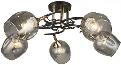 Потолочная люстра Wedo Light Alvi 66744.01.15.05