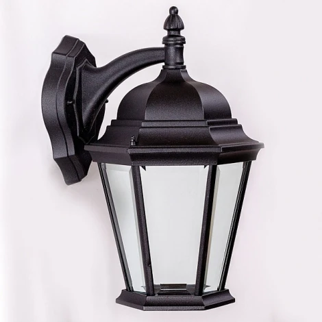 Настенный фонарь уличный Oasis Light 91402L Bl (220V, IP44)