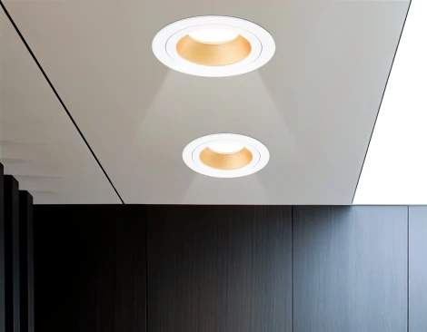 Встраиваемый точечный светильник Ambrella Techno Spot TN102823 (220V, круглые)