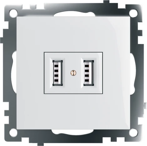 Розетка с USBх2 (белый) Stekker Катрин 39686