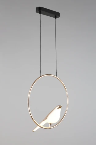 Подвесной светильник Aployt Astor APL.822.06.10 (LED, 220V, на тросе, кольцо, птички)