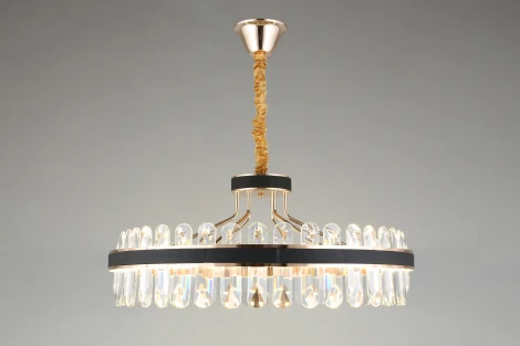 Подвесная люстра Aployt Honori APL.027.03.102 (LED, 220V, на цепи, кольцо)