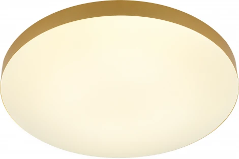 Потолочный светильник круглый светодиодный с пультом и регулировкой цветовой температуры ЭРА Relict 48 Pult SPB-6-60-RC MG (220V, круглые)