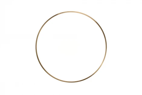 Потолочный светильник круглый Zortes Monna ZRS.1209.12 (LED, 220V, круглые)