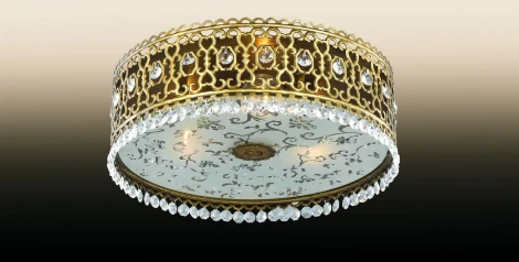 Потолочный светильник Odeon Light Salona 2641/3C