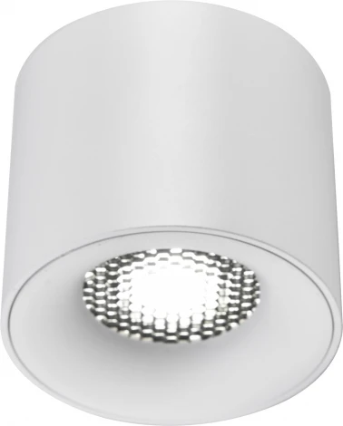 Светильник потолочный ST Luce ST761.533.10 белый LED 1*10W 3000K (220V, круглые)