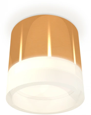 Накладной точечный светильник Ambrella Techno Spot XS8121010 (220V, круглые)