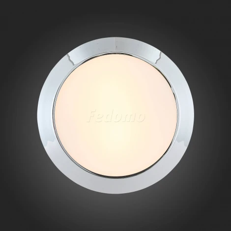 Настенно-потолочный светильник ST Luce Bagno SL469.502.02