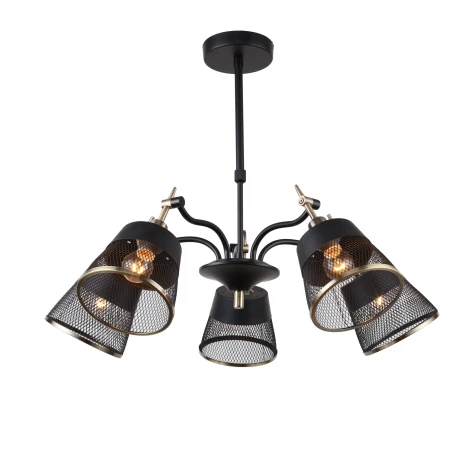 Потолочная люстра F-Promo Eget 2197-5U (220V)