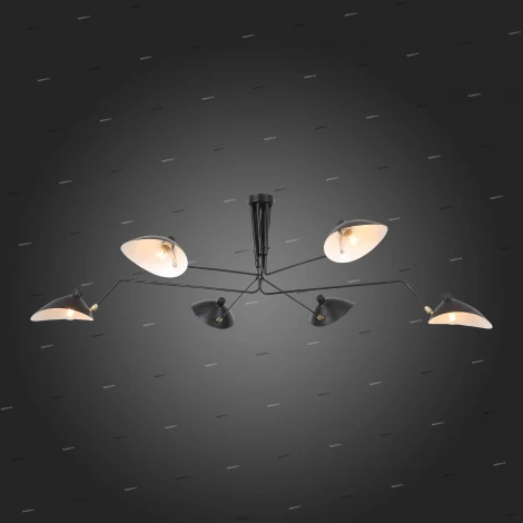 Потолочная люстра ST Luce Spruzzo SL305.402.06 (220V)