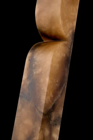 Настенный светильник светодиодный Fluorite Magnifico FL1195-6W