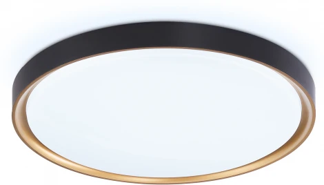 Потолочный светильник круглый светодиодный Ambrella ORBITAL FZ1249 (220V, круглые, IP54)