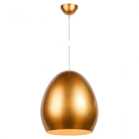 Подвесной светильни AM Group AM13 AM137 GL