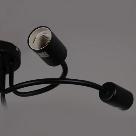 Потолочная люстра Reluce 01742-0.3-06 BK (220V)