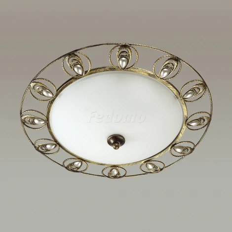 Настенно-потолочный светильник Odeon Light Kanti 3484/3C