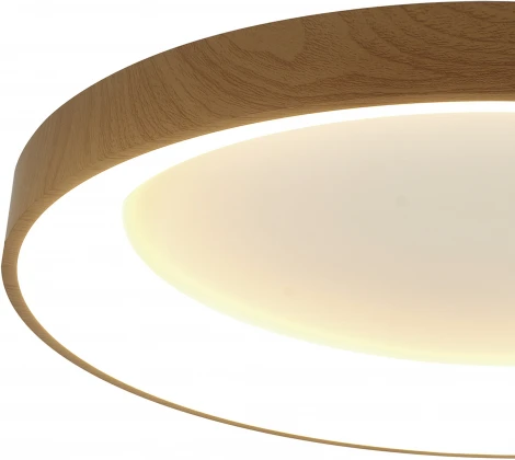 Потолочный светильник круглый Mantra Niseko 8586 (регулировка яркости, LED, 220V, пульт управления, круглые)