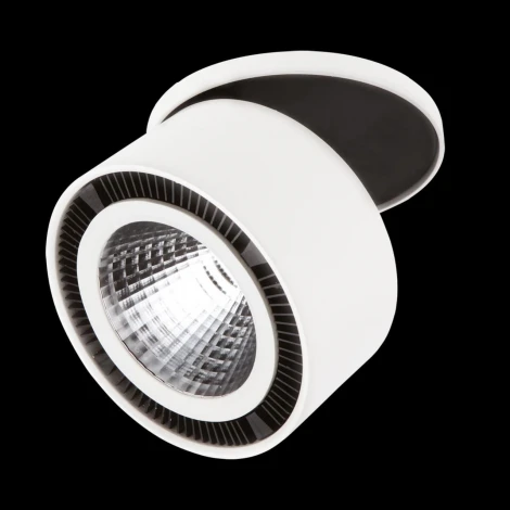 Встраиваемый точечный светильник Lightstar FORTE INCA 214806 (LED, 220V, круглые)