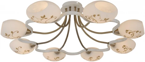 Потолочная люстра Silver Light Flower 118.51.8