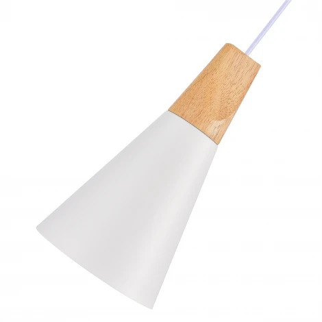 Подвесной светильник Evoluce Modica SLE125153-01