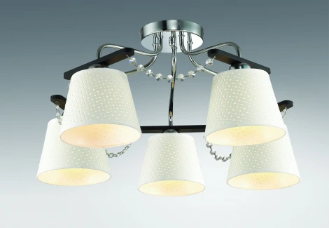 Потолочная люстра Odeon Light Salanso 2931/5C