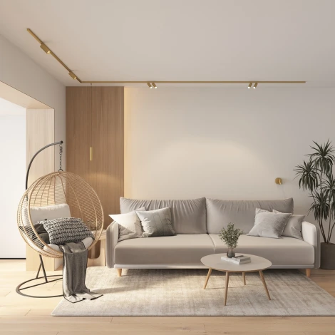 Трековый светильник для магнитного шинопровода Denkirs Shine Spot DK5742-SB 48V 8W*2 сатинированная латунь (LED, круглые)