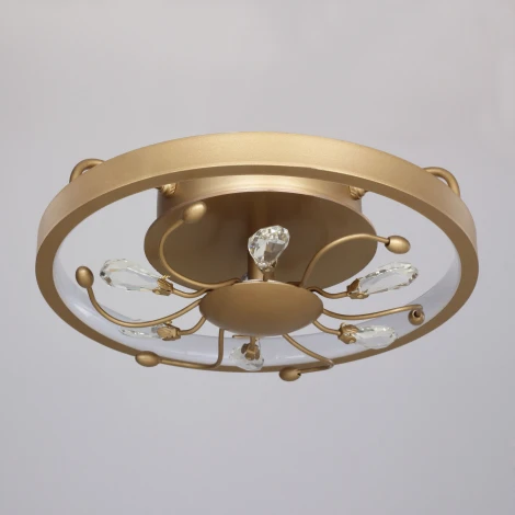 Потолочная люстра Favourite Waltz 2534-2C