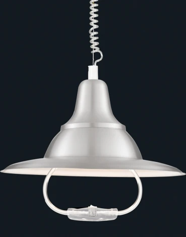 Подвесной светильник Arte Lamp Pendants A3638SP-1SS