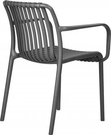 Стул обеденный DOBRIN WALTER ARM (темно-серый (GR-04))