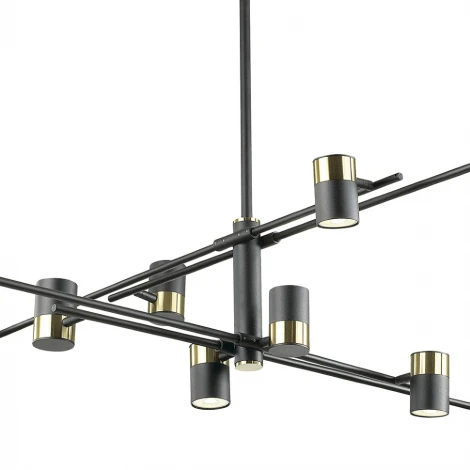 Потолочная люстра Lumien Hall Sauris LH8020/10P-BK-GD