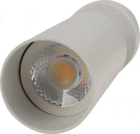 Спот Brizzi Aras BR08075