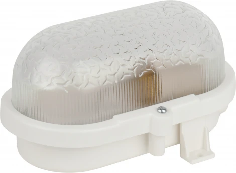 Настенно-потолочный светильник ЭРА НБП 01-60-012 (220V, IP53)