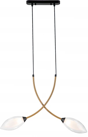 Подвесной светильник Fiore V000140 (13001/2P Black) (220V, на проводе)