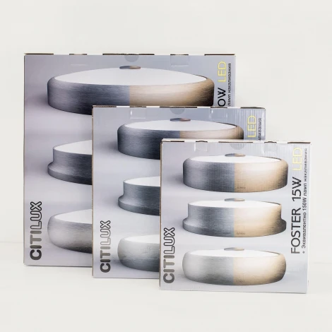 Потолочный светильник Citilux Фостер-2 CL706232