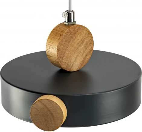 Подвесной светильник светодиодный Ritter Scandia 52078 8