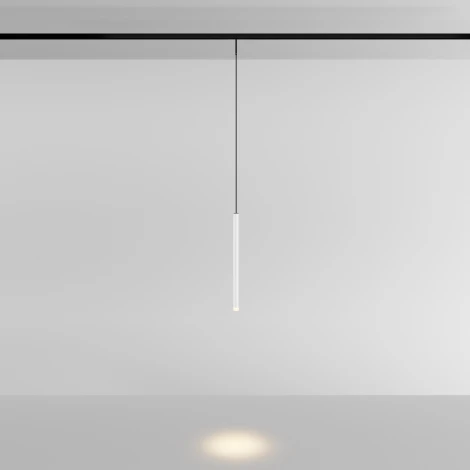 Трековый светильник магнитный 3W 24V Maytoni Skim TR191-1-3W4K-M-BW (LED, круглые)